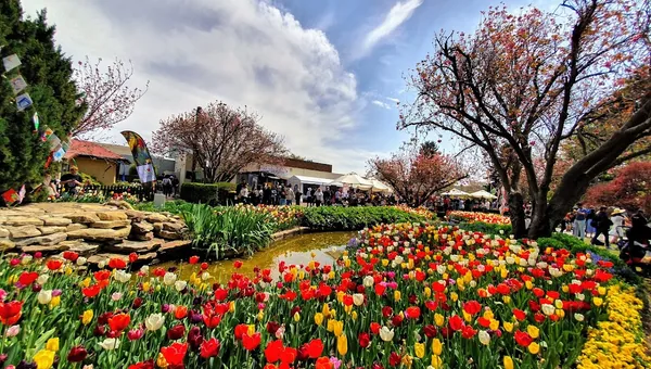 Bowral, NSW 2576